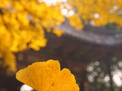 -汇龙潭