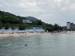 -杨梅坑