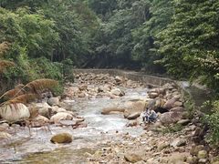 -姑婆山旅游区