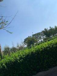 -HEYAN长风荷妍专业脱毛美肤
