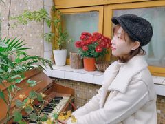 -知物癖(牛王庙店)