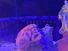 -Rabbit Cafe私房西餐甜点咖啡(栖霞路店)