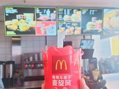 -麦当劳(瓦房店世纪广场店)