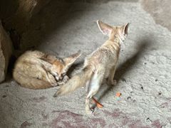 -长鹿旅游休博园