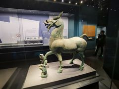 -广西壮族自治区博物馆