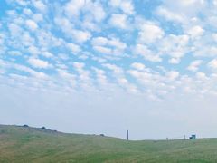 -大姆山草场