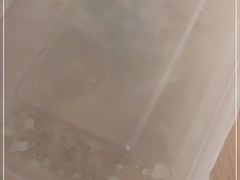 -抱德·潮汕味(敦和店原惠城鱼仔)
