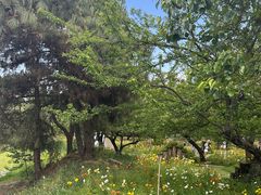 -名花谷生态庄园