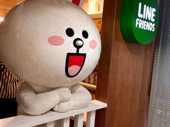 -LINE FRIENDS Garosu-gil Flagship Store