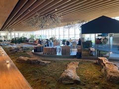 -Seesaw Coffee(朝阳大悦城店)