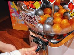 -苏帮袁Sue Cuisine(将台店)