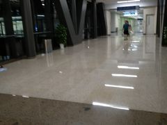 -首都医科大学附属北京天坛医院
