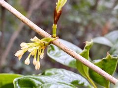 -杭州半山国家森林公园