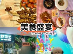 -百好乐宠物友好餐厅(朝外大街店)