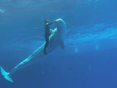 -石林冰雪海洋世界