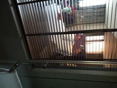 和颐酒店(徐汇店)-和颐至尊酒店(上海徐家汇漕河泾店)