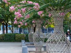 -杭州城北体育公园