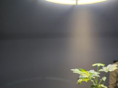 -逸馥荟(人广来福士店)