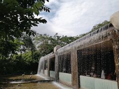 -亚龙湾热带天堂森林公园