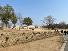 -盘龙城国家考古遗址公园