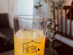 西柚汁-候鸟咖啡(前门店)