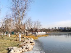 -西海子公园