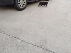 -北方饺子王·海肠捞饭·海鲜锅(山大店)