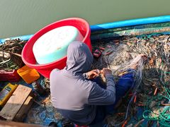 -东寨港红树林旅游区