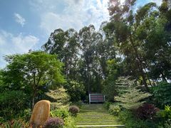 -火炉山森林公园
