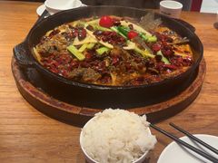 -老板恋上鱼(恒隆广场店)