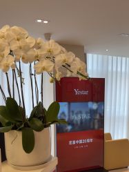 -Yestar宁波艺星整形医院