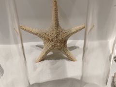 -西安曲江海洋极地公园