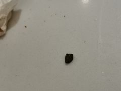 -花味·自助烤肉(雨花客厅店)
