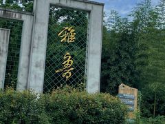 -雅鲁激流探险漂流