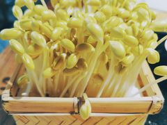-巴奴毛肚火锅(六天地店)