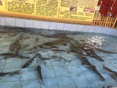 胖姐新村风味鱼村-胖姐渔村(中源大道店)