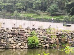 -九龙潭景区