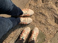 -李宁(大宁国际旗舰店)