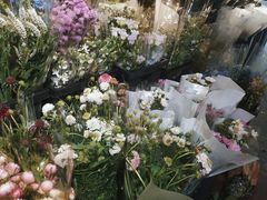 -溪岸路花鸟市场