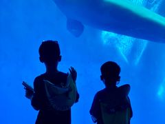 -海合安成都极地海洋公园