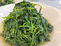 清炒菊花脑-冶春茶社(官园桥店)