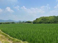 -良渚古城遗址公园