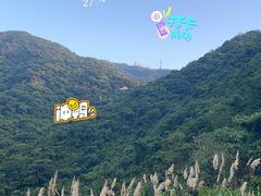 -梧桐山风景名胜区