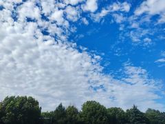 -红跑车(三牌楼店)