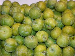 -五里多农博广场