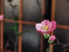 -泓0871臻选云南菜·味庄