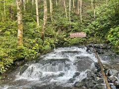 -峡谷浮石林景区