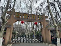 -灵谷景区