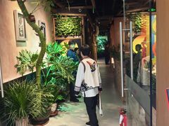 -雀舞云南菜(天津天河城购物中心店)