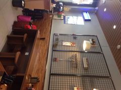 犀牛家(观前总店)-犀牛家猪排